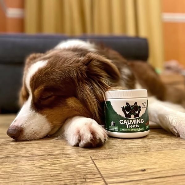 A high-quality product shot featuring a peacefully sleeping dog next to a jar of calming treats, signaling a calm and stress-free pet lifestyle.
